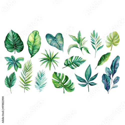 Watercolor Botanical Collection of Various Tropical Green Leaves