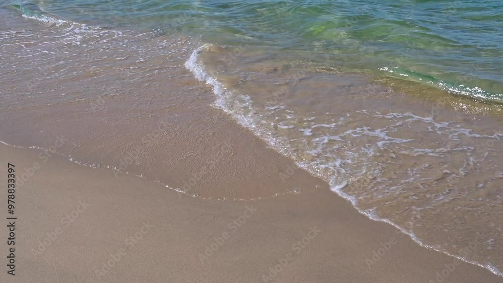 sea waves on a sandy beach in summer with clear clear water at the resort sea waves on a sandy beach in summer with clear clear water at the resort