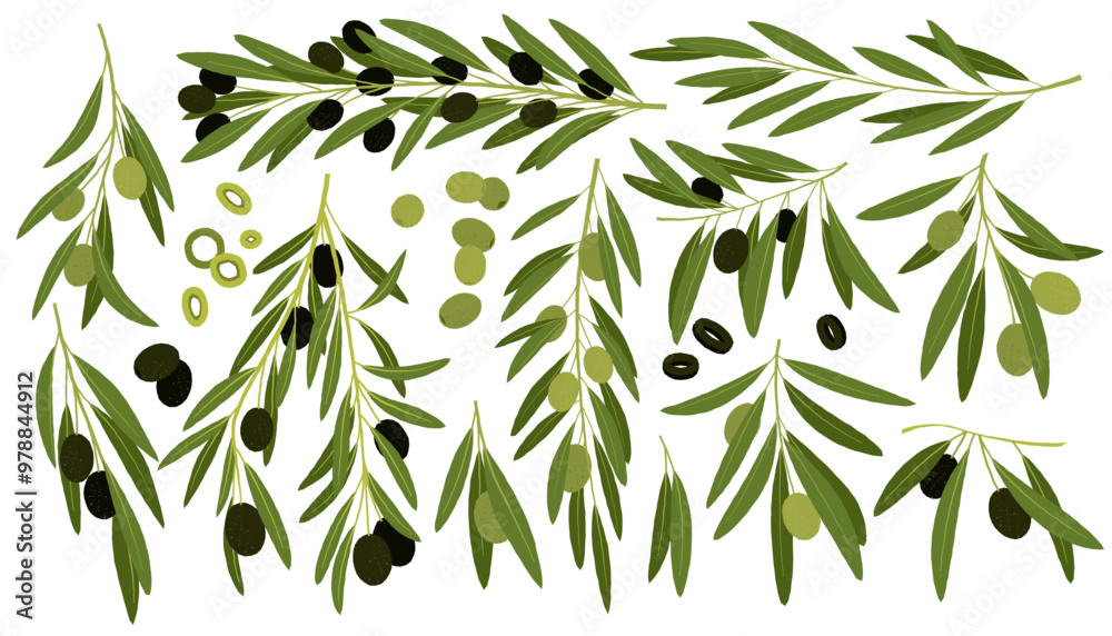 Obraz premium Green and black olives. Cartoon organic mediterranean fruit, agriculture organic vegetable vegan food, natural healthy product. Vector isolated set.eps