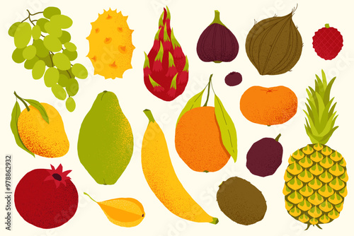 Exotic fruits. Cartoon tropical sweet organic berries, kiwi gooseberry mango pomegranate rambutan and dragon fruit. Vector isolated set.eps