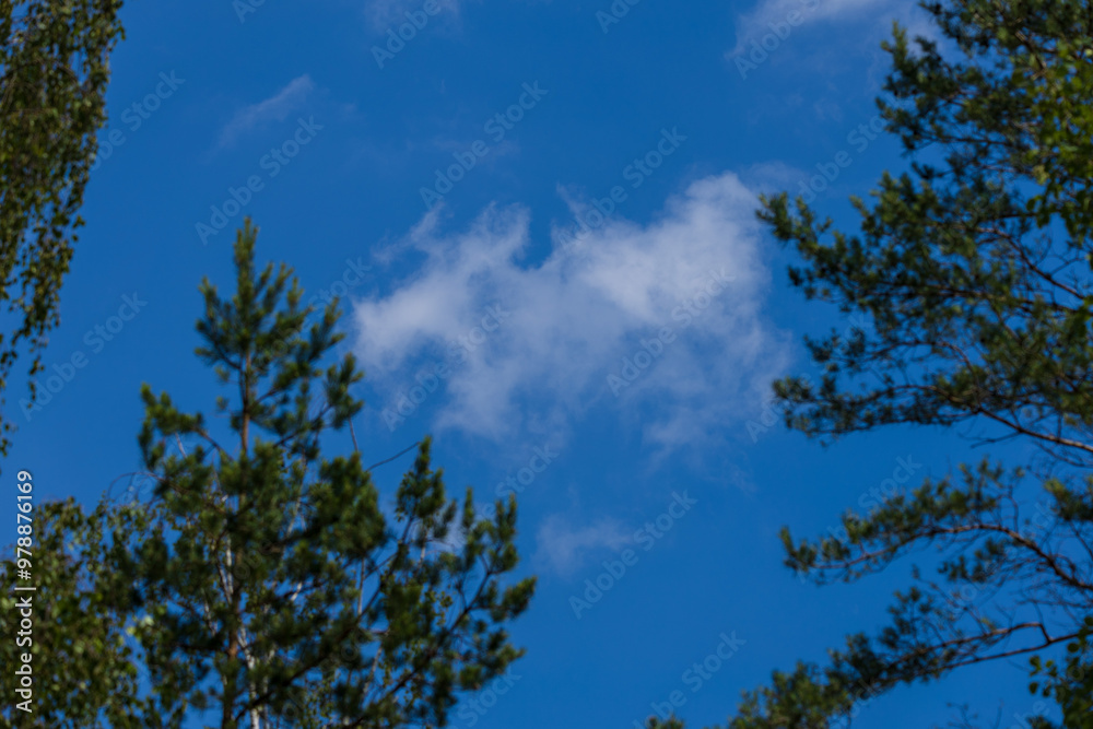 Obraz premium Blue sky and white and gray clouds. Texture background for design.