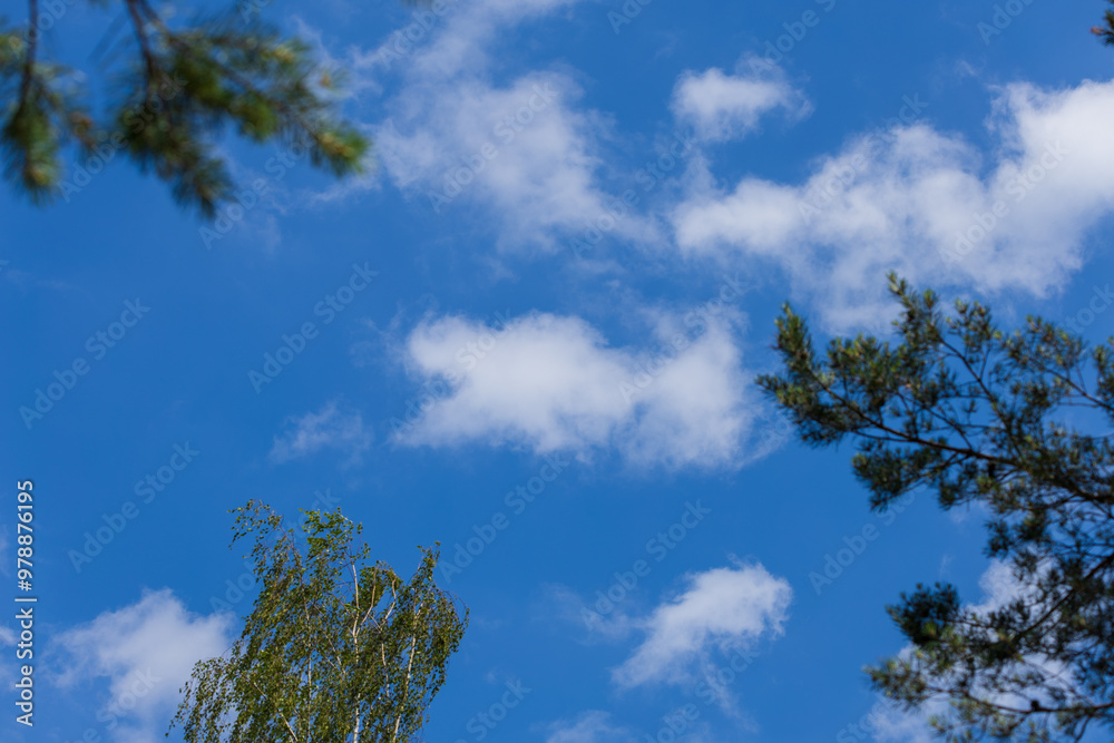 Blue sky and white and gray clouds. Texture background for design. Blue sky and white and gray clouds. Texture background for design.