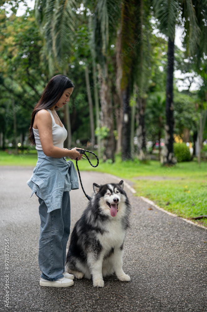 Obraz premium A beautiful Asian woman is taking her dog for a walk on a leash in a green park, training it to sit.