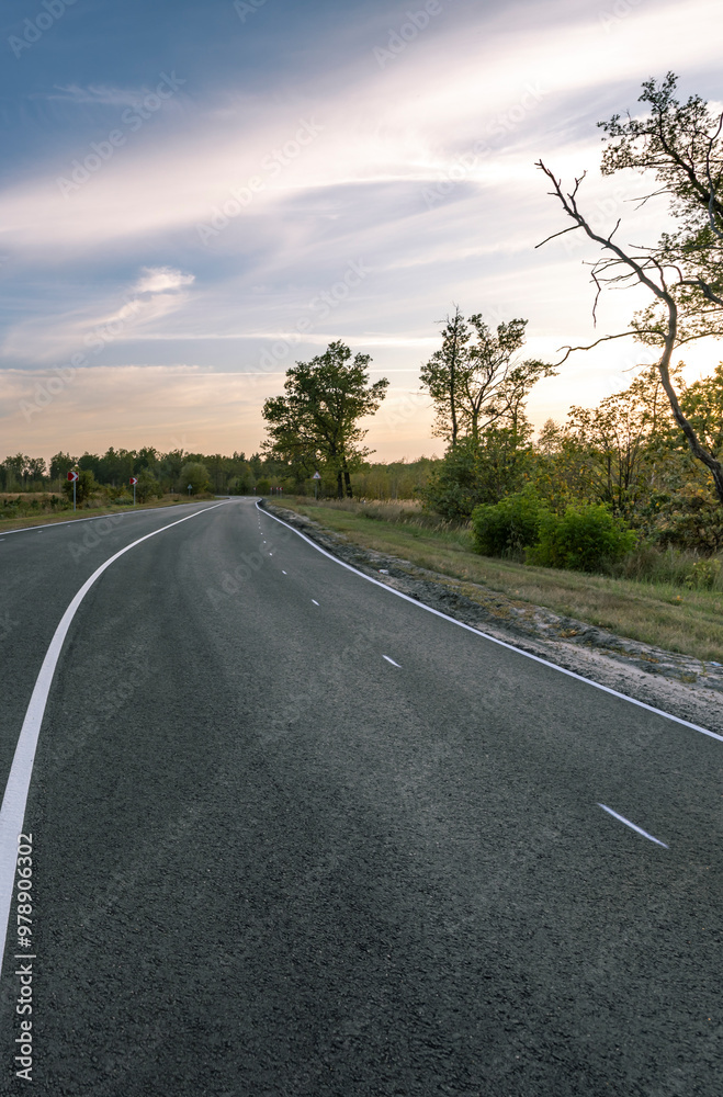 Fototapeta premium A road with a tree on the side and a cloudy sky