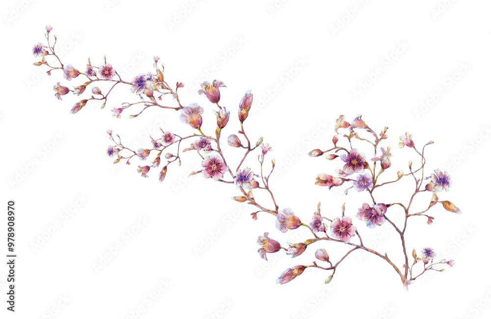 Obraz premium watercolor painting of leaves and flower, on transparent background