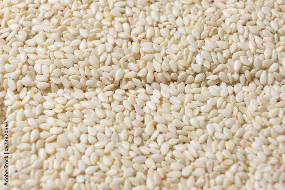 White sesame background, macro top view. White sesame background, macro top view.