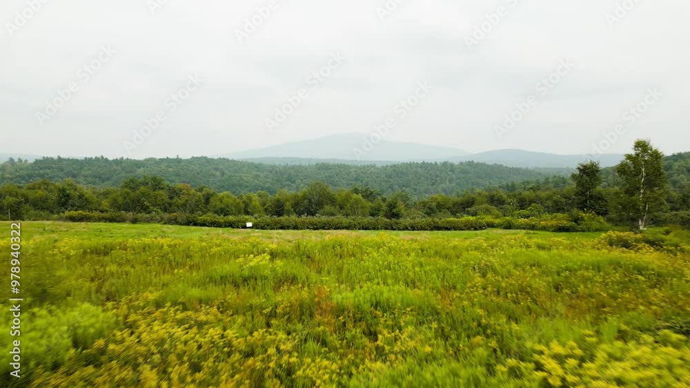 Mount Monadnock off in the distance makes this a subtle masterpiece! Mount Monadnock off in the distance makes this a subtle masterpiece!