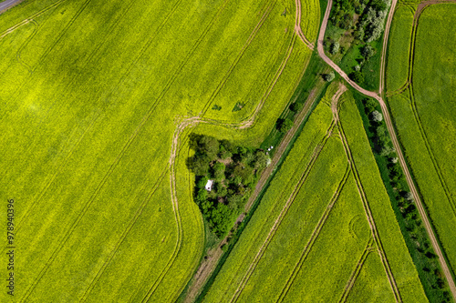 Obraz na płótnie Top view of rapeseed fields. Yellow rapeseed field with stripes and abstract landscape. Germany. w salonie
