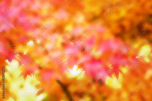 Blurred autumn background with warm autumn sun light.