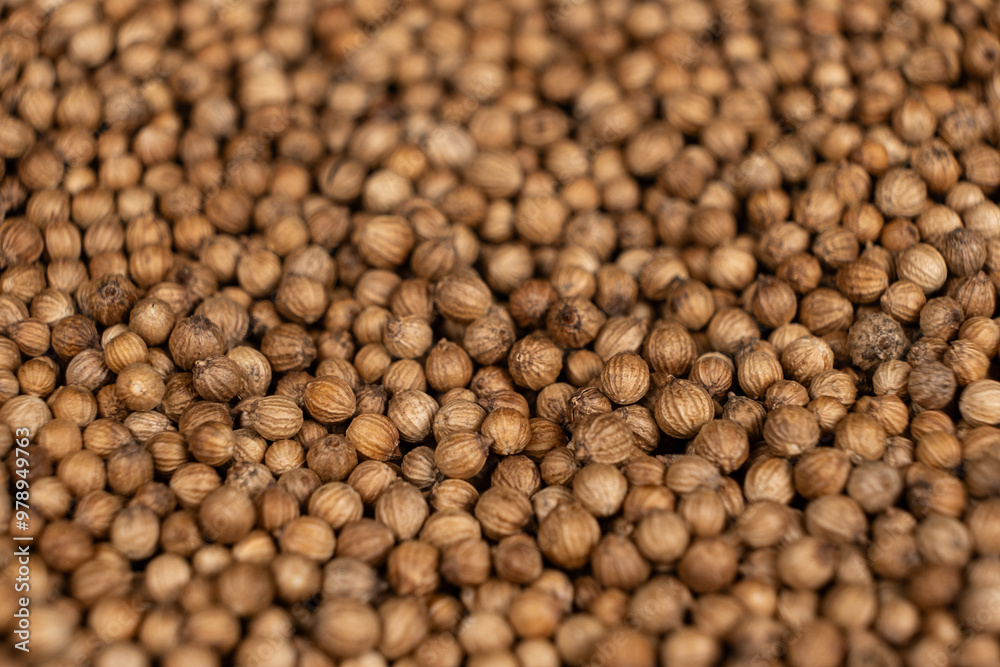 Macro Grains Coriander Natural Spice Selective Focus