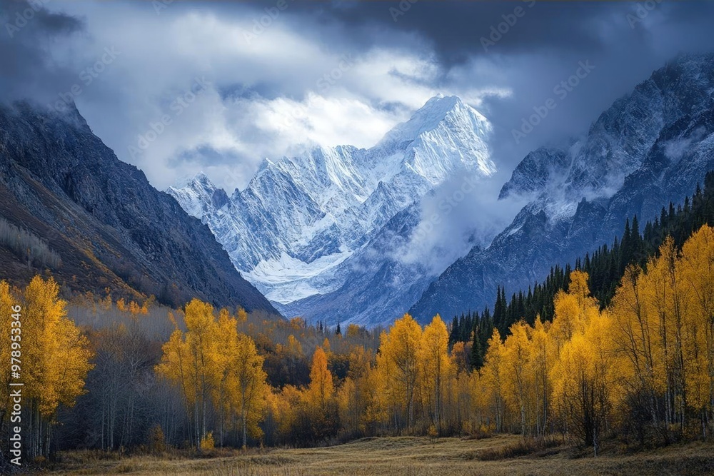 Golden Aspen Trees in Front of a Dramatic Mountain Range. Golden Aspen Trees in Front of a Dramatic Mountain Range.