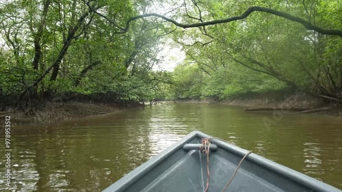 A raw handheld panning footage of pov nature mangrove scene in Johor.