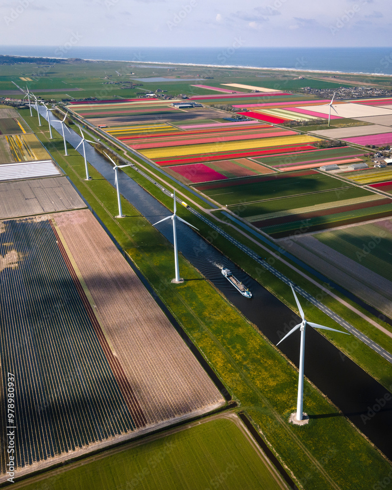 Aerial view of colorful tulip fields and a canal with a wind turbine and vessel, Sint Maartensvlotbrug, Netherlands. Aerial view of colorful tulip fields and a canal with a wind turbine and vessel, Sint Maartensvlotbrug, Netherlands.