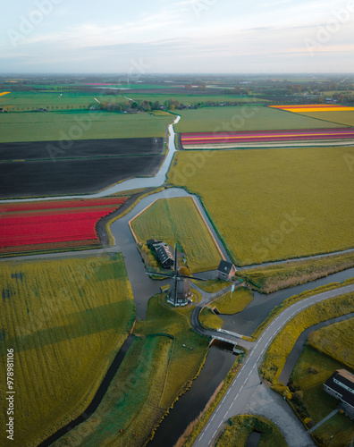 Aerial view of windmill surrounded by vibrant tulip fields at sunrise, Obdam, Netherlands. photo