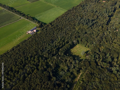 Aerial view of lush forest and serene countryside with scattered houses, Gaasterland, Netherlands.