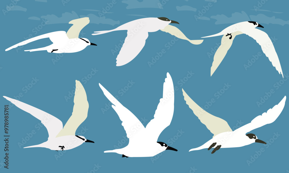 Obraz premium Flying Seabird Vector Illustrations in Various Poses, Flying Bird Silhouette Clip Art, great set of flying birds Vector silhouettes