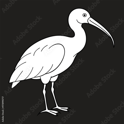 northern bald ibis birds silhouette victor art illustration eps photo