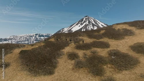 People climb the hill to see the volcano, Onekotan Island, Krenitsyn Volcano