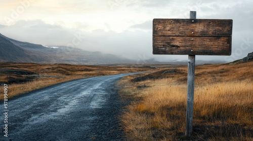 Lonely Road in the Highlands: A Journey Through the Rugged Terrain