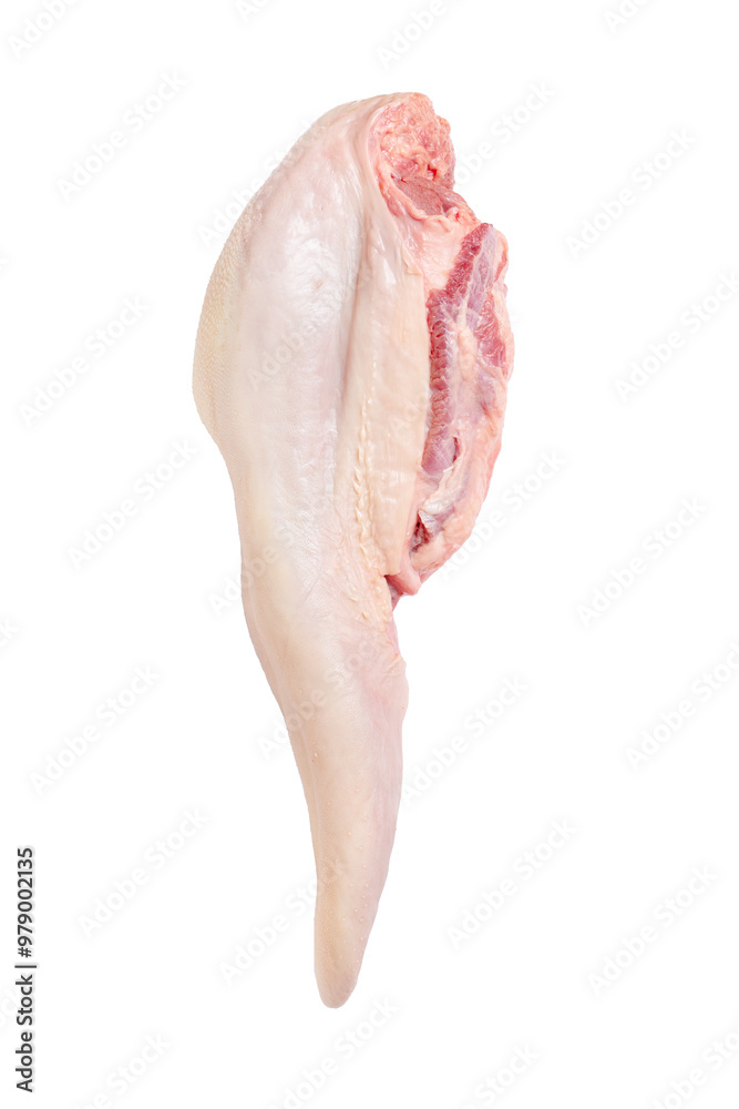 Fototapeta premium Beef tongue, fresh meat, beef, raw meat on white background, isolated