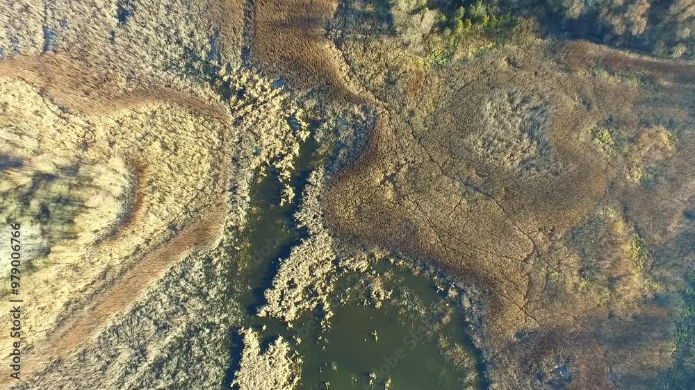 Aerial Autumn Landscape with Forest Textures and a Hidden Pond Aerial Autumn Landscape with Forest Textures and a Hidden Pond
