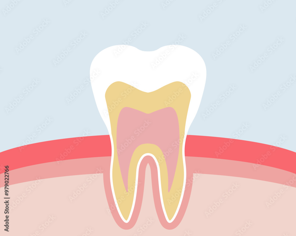 Tooth icon. In the context icon. Flat style. Vector icon. Tooth icon. In the context icon. Flat style. Vector icon.