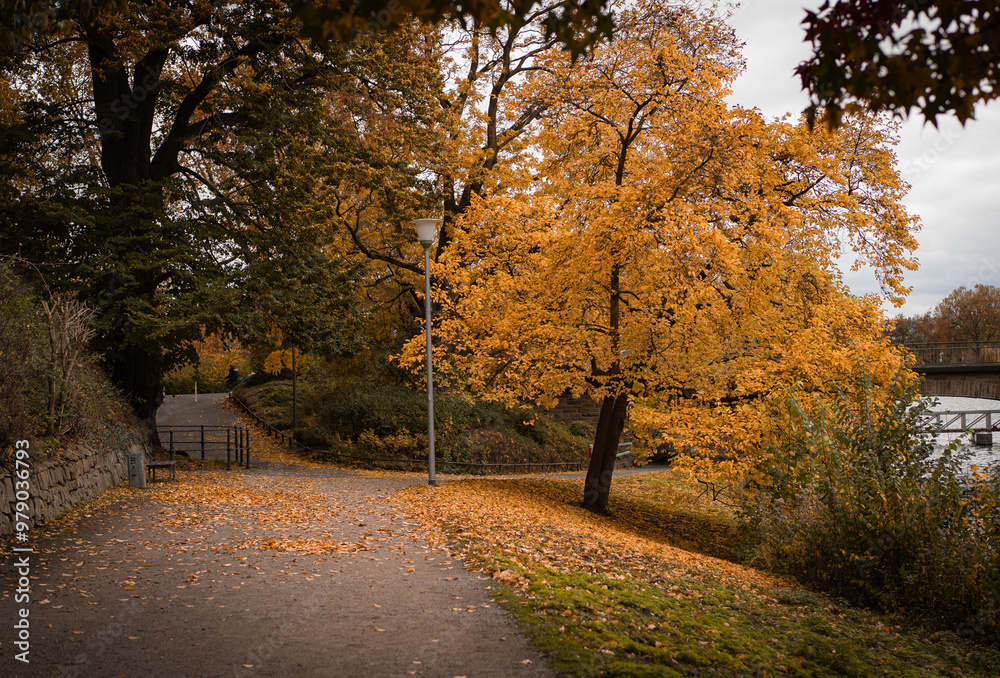 Naklejka premium Park im Herbst