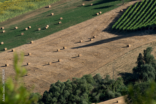 Campagna 