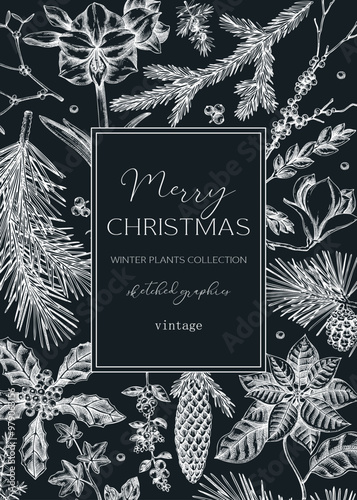 Christmas card design. Winter nature frame template. Conifer trees, winter flowers, bird sketches. Hand-drawn vector illustration. NOT AI generated