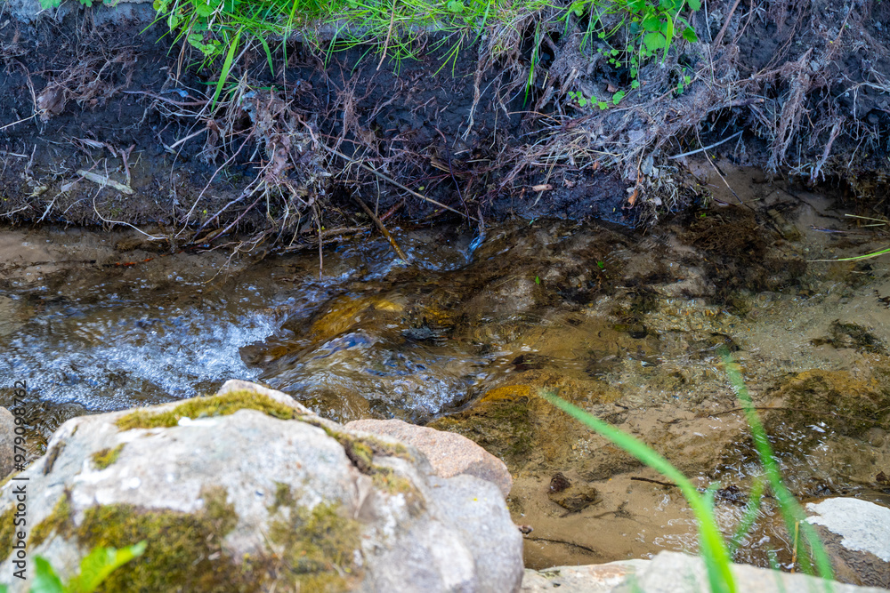 Small stream with small rocks in it green on the outside Small stream with small rocks in it green on the outside
