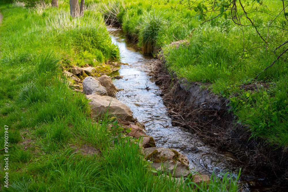 Small stream with small rocks in it green on the outside Small stream with small rocks in it green on the outside