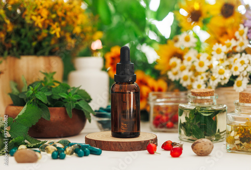 A dropper bottle with essential oil or serum, a bowl with mint and lemon balm leaves, a jar with infusion or herbal oil, a jar with rose hips. Alternative medicine.