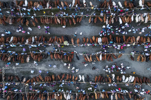 Aerial view of a bustling cattle market with cows and people engaged in trade, Chittagong, Bangladesh.