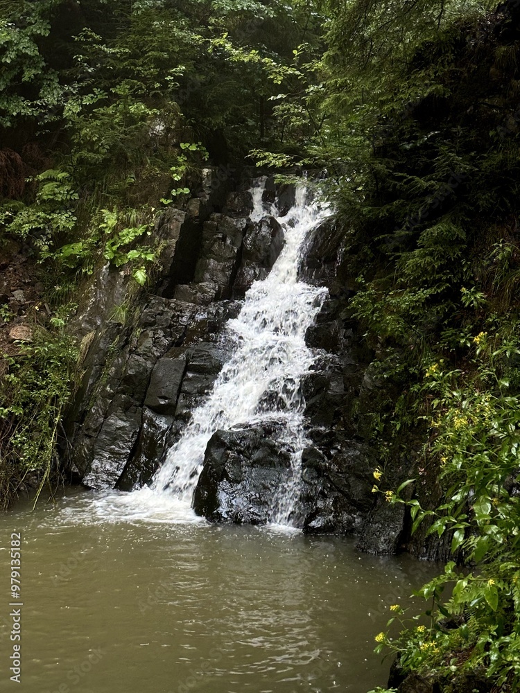 Fototapeta premium Small forest waterfall cascading over rocks into a calm pool, surrounded by green plants and moss in a peaceful woodland.