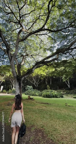 Young female tourist hike in national park in Hawaii with tree is in the middle of a grassy field. The tree is tall and has a lot of leaves. Vertical orientation photo