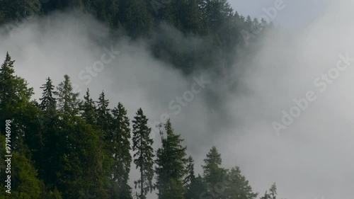 Time-Lapse of Clouds in Motion Over Trees