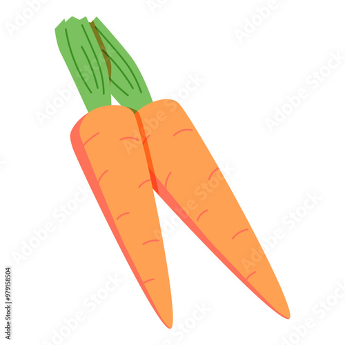 Carrot vegetables with green leaf. Fresh vitamin food. Natural organic crunchy orange veggies, farm agriculture food.