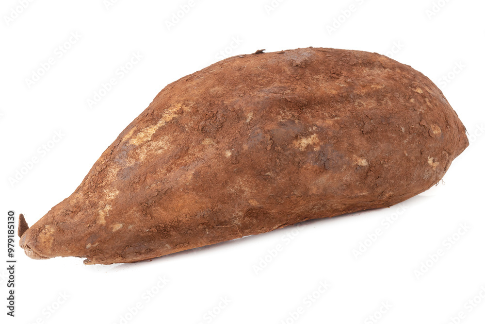 Yacon roots isolated on a white background Yacon roots isolated on a white background