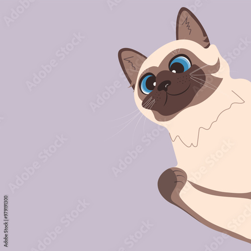 Cute Siamese cat peeking out of the corner Illustration for pet food packaging Vector image. Allowed and forbidden products for cat Isolated