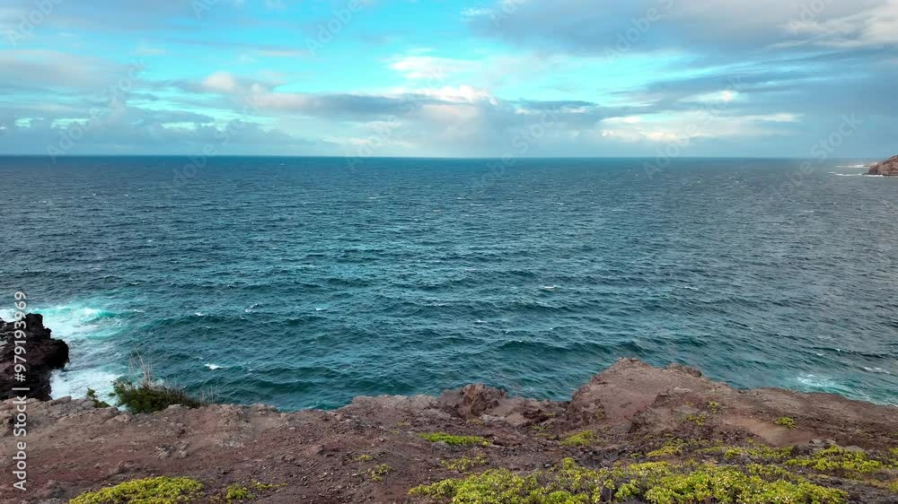 The Untamed Beauty of Maui's Rocky Coastline The Untamed Beauty of Maui's Rocky Coastline