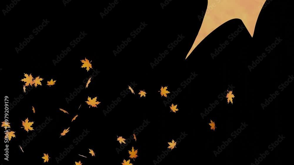animation of falling maple leaves. animation of falling maple leaves.