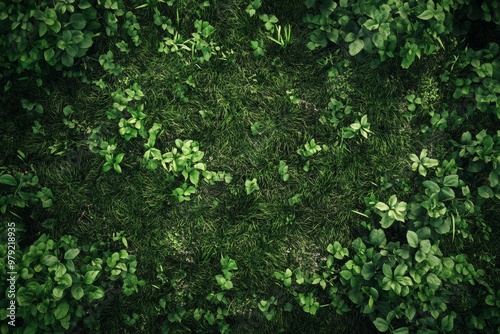 top down view of ground grass, fullscreen, top down.