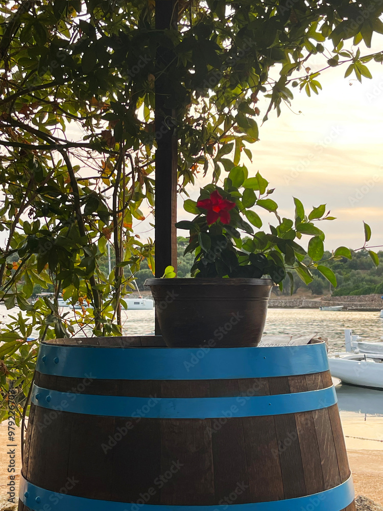 Obraz premium barrel with flowers