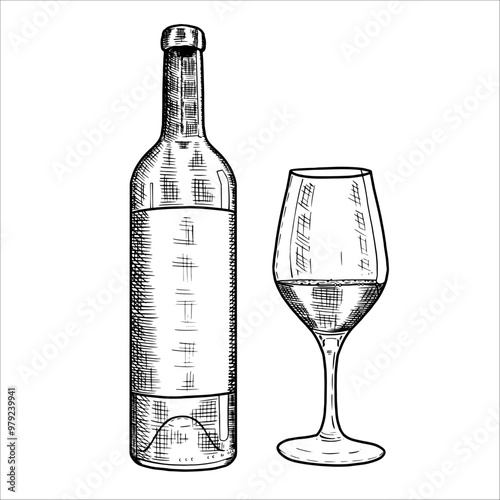 Hand drawn bottle of wine, glass. Vector illustration