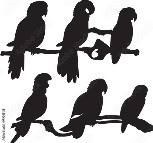 Set of different parrot bird silhouette. Vector illustration parrots isolated on white background,ai generative
