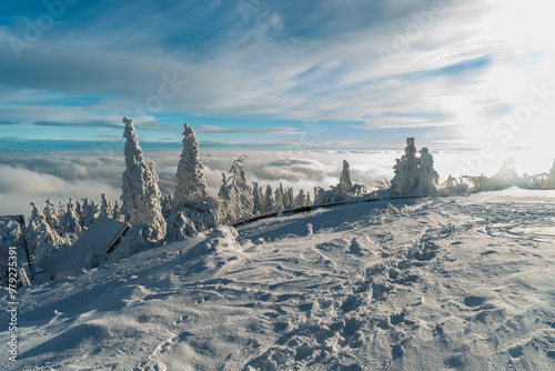 Winter on Lysa hora hill in Moravskoslezske Beskydy mountains in Czech republic photo