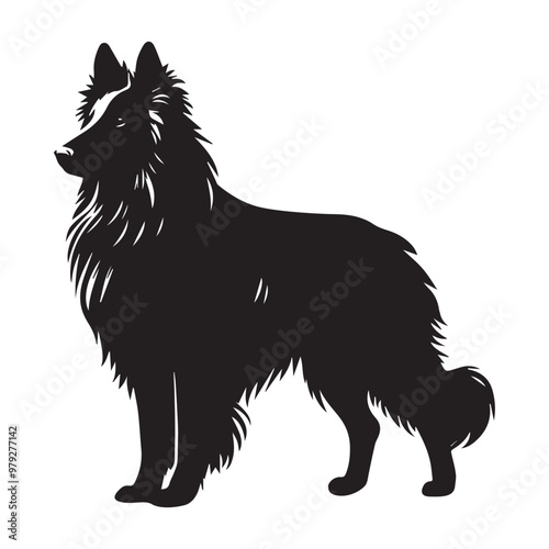 Belgian Tervuren dog standing silhouette Design, Dog Vector illustration in black and white
