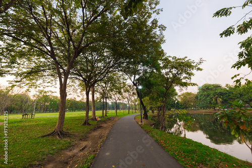 Fototapeta Naklejka Na Ścianę i Meble -  Sunset in city public park tree forest running pathway garden nature landscape