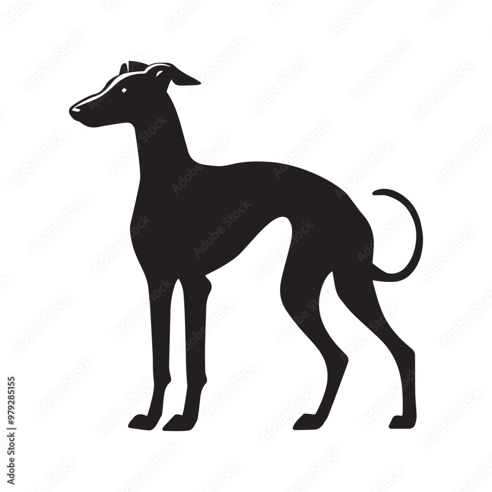 Obraz premium Italian Greyhound dog silhouette Design, Dog Clipart vector illustration in black and white 