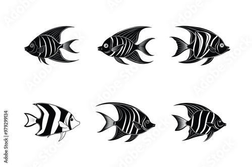 Angelfish silhouette vector illustration